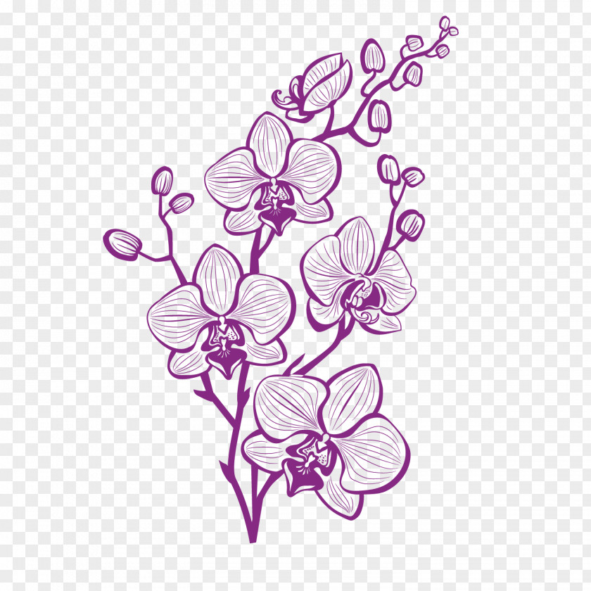 Hand Painted Purple Orchid Vector PNG