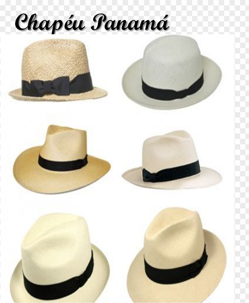 Hat Fedora Panama Fashion Sun PNG