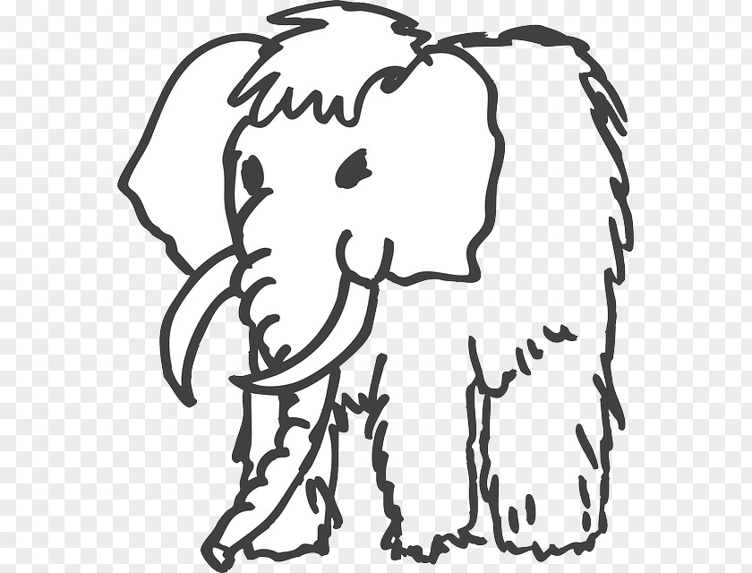 Mammuthus Meridionalis Woolly Mammoth Drawing Columbian Clip Art PNG