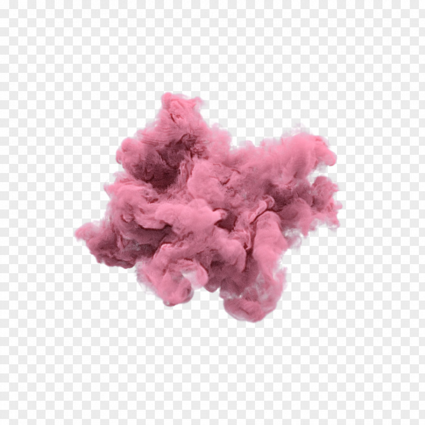 Mineral Plant Pink Violet Petal Magenta Flower PNG