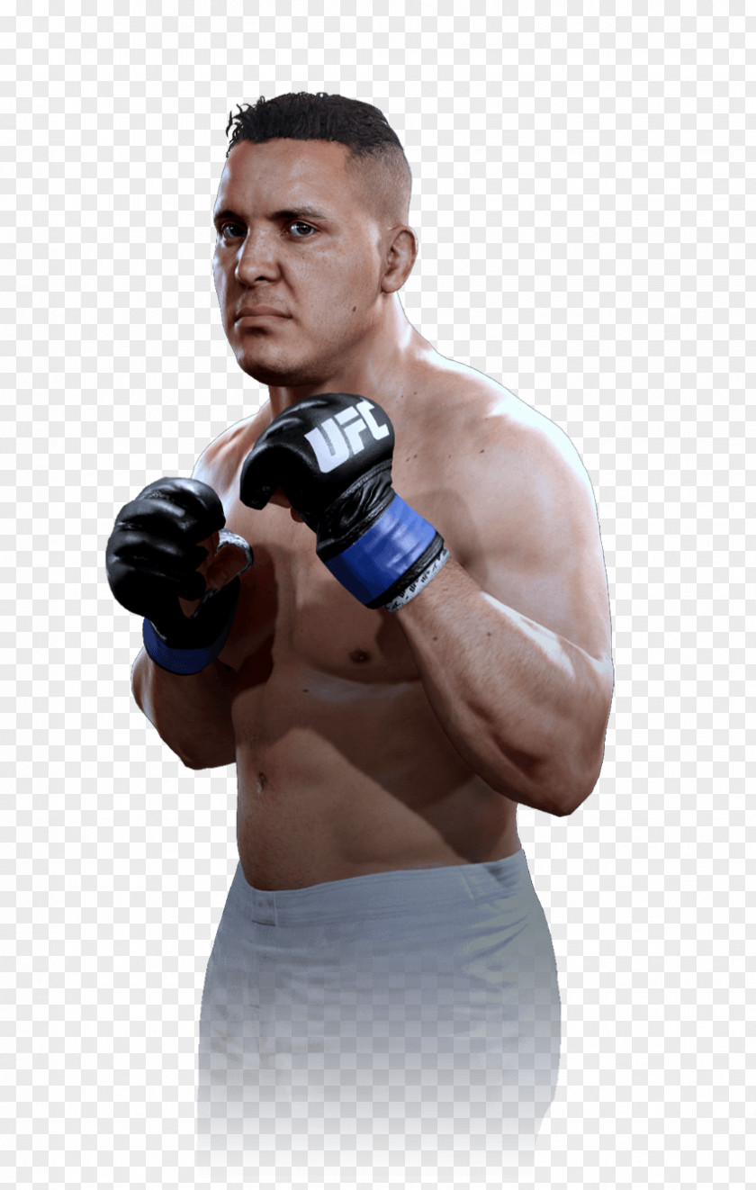 Mixed Martial Arts UFC 2: No Way Out 3: The American Dream EA Sports 2 Stipe Miocic PNG