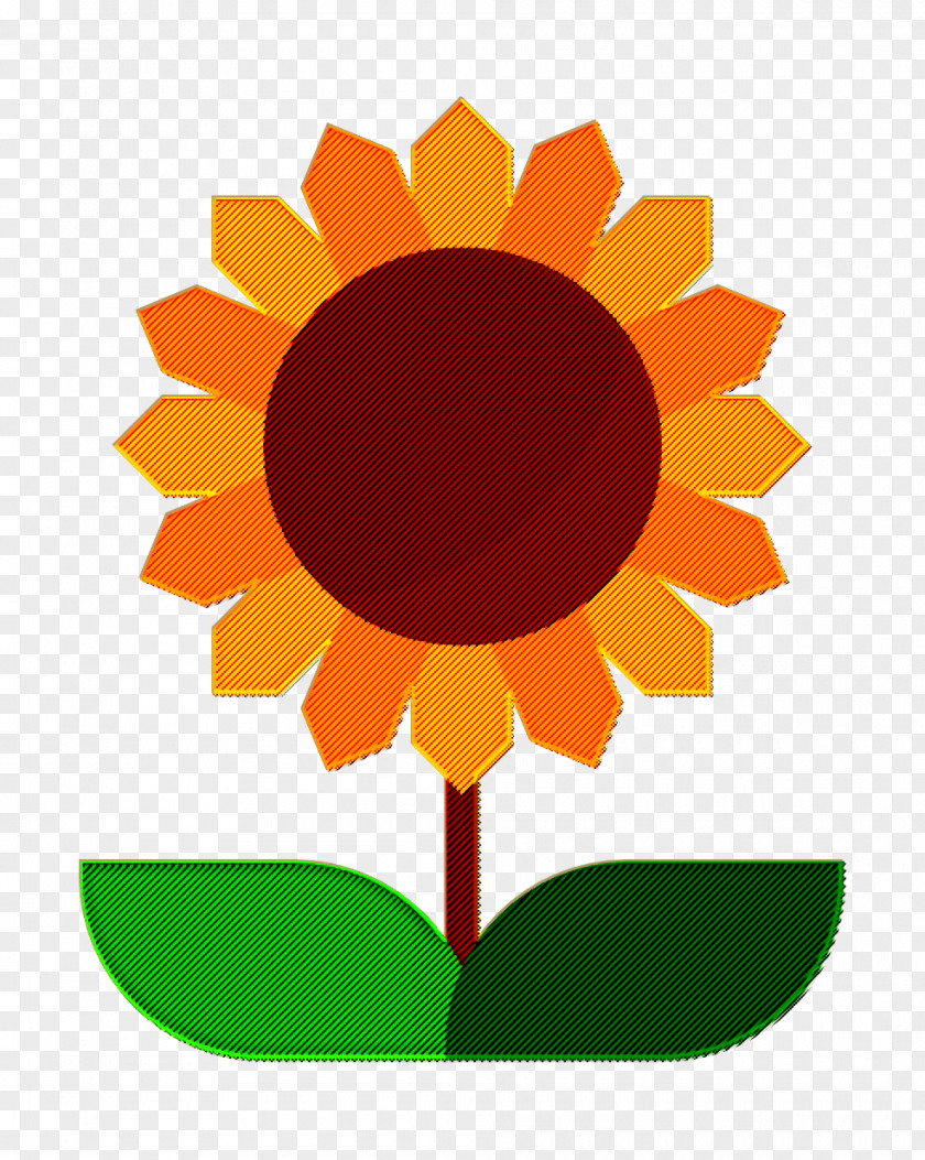 Sunflower Icon Farming And Gardening Flower PNG