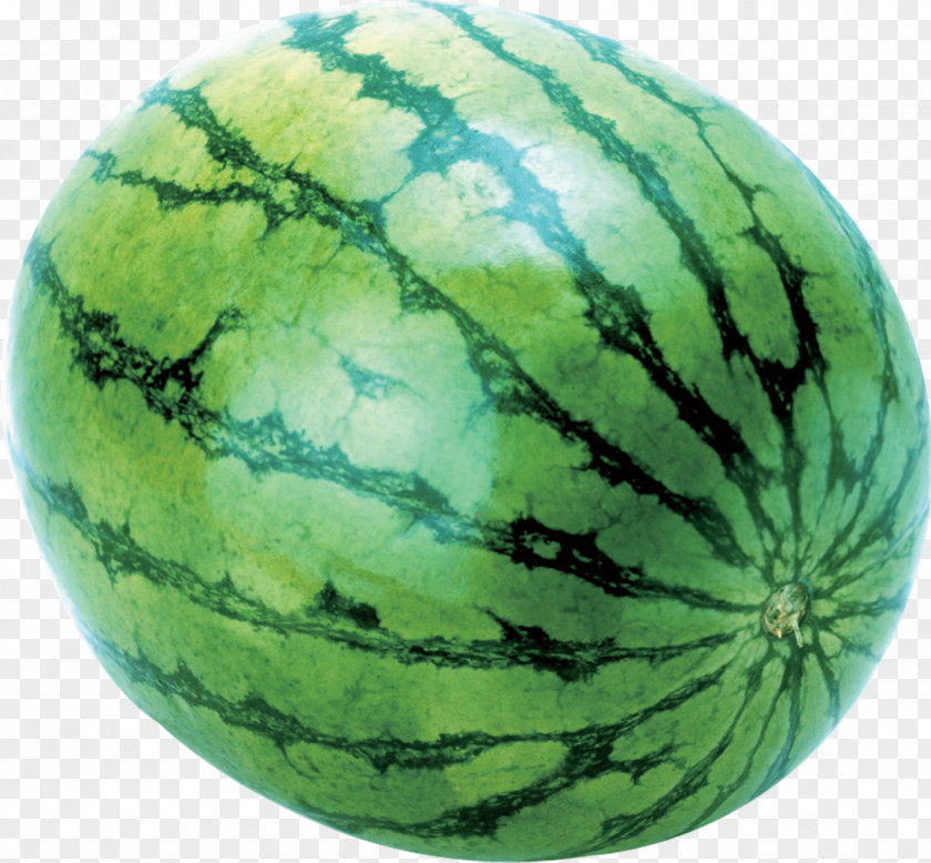 Watermelon Garrys Mod Canary Melon Cantaloupe Slices PNG