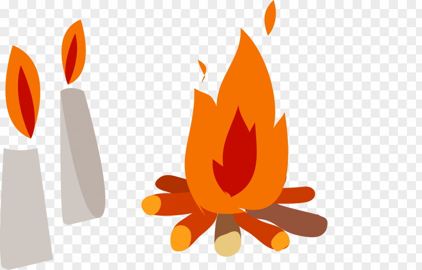 Wood Burning Candle Light Flame Combustion Fire PNG