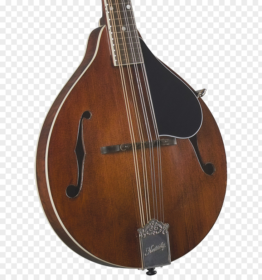 Acoustic Guitar Mandolin Bass Violin Musical Instruments Cuatro PNG