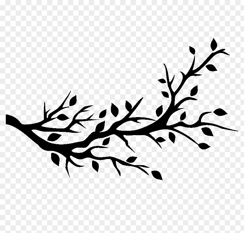 Bird Wall Decal Tree Branch PNG