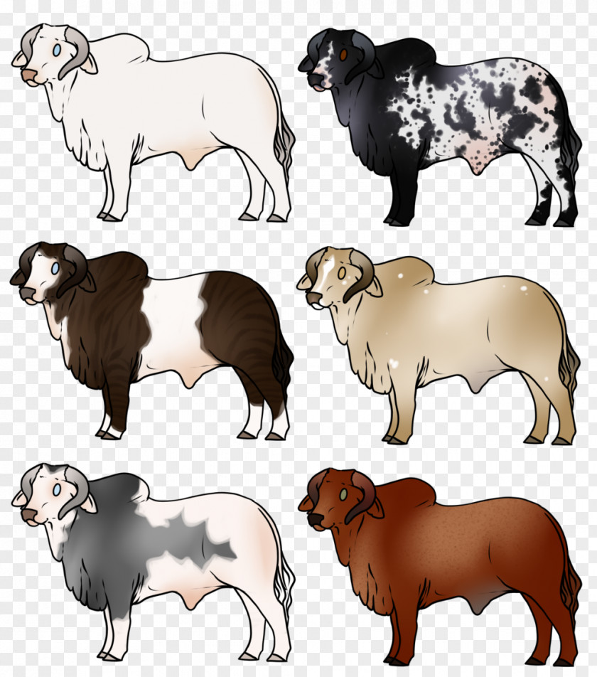 Brahman Cattle Sheep Ox Goat Dog PNG