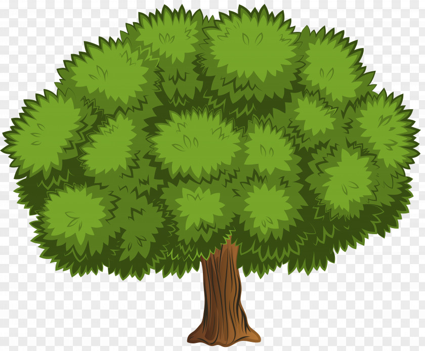 Large Tree Clip Art Image Shrub PNG