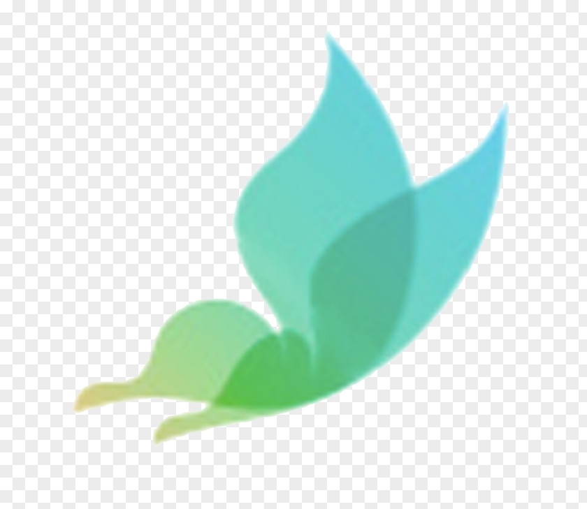 Makeup Logo Compressed Natural Gas Company Energy PNG