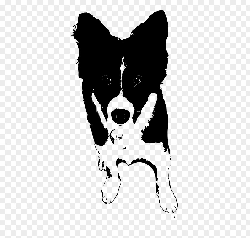 Puppy Dog Breed Border Collie St. Bernard Drawing PNG