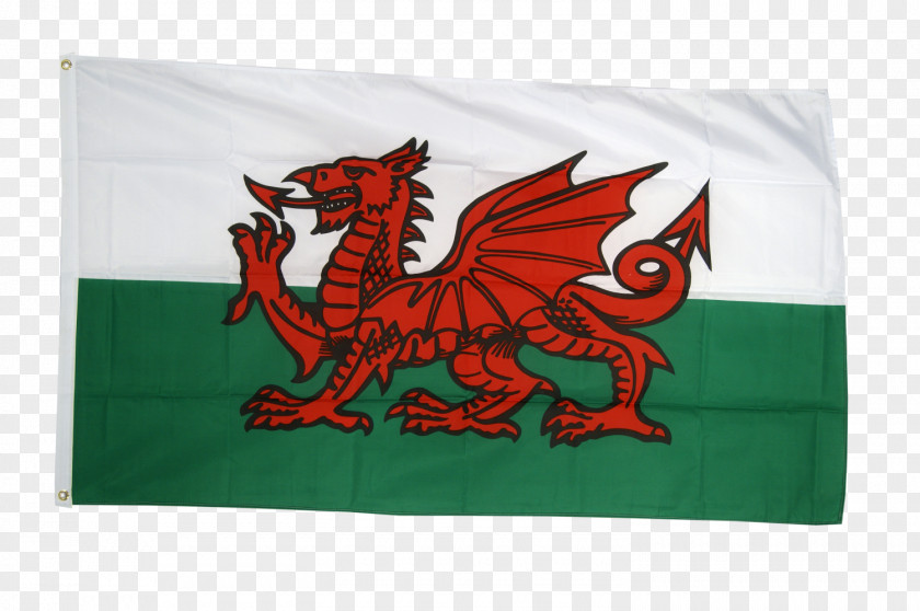 St Davids Saint David's Day Flag Of David Wales Cardiff PNG