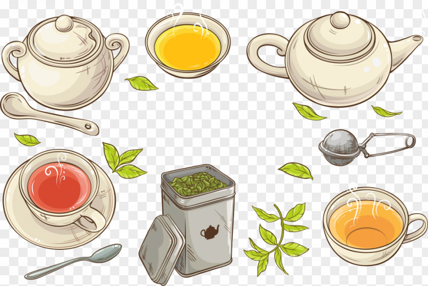 Vector White Tea Cup And Green Teacup Strainer PNG