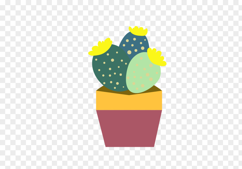 Cactus Echinopsis Oxygona Cactaceae PNG