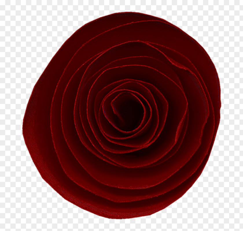 Log Texture Garden Roses Circle Spiral Petal PNG