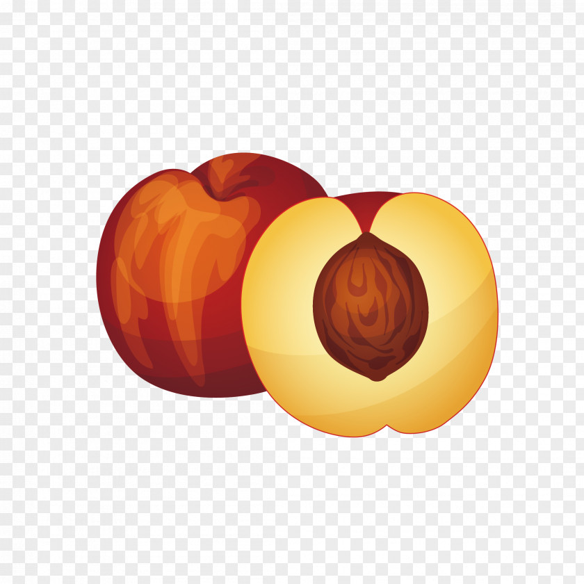 Peach Mature Nectarine Ingredient Fruit Icon PNG