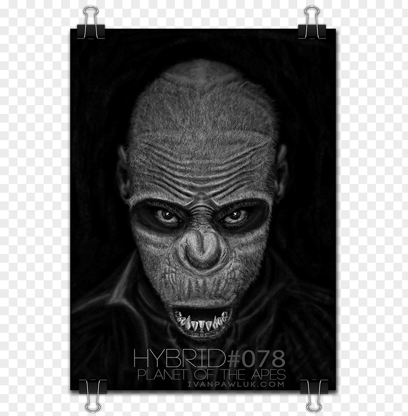 Planet Of The Apes Skull Character Horror Snout White PNG