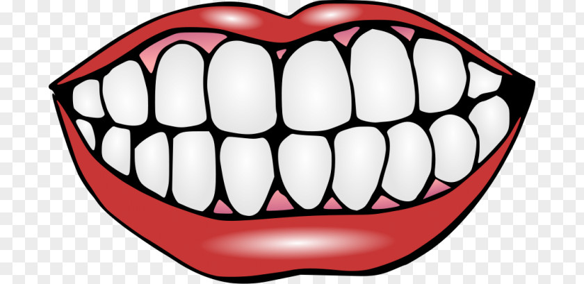 Smile Human Tooth Clip Art PNG