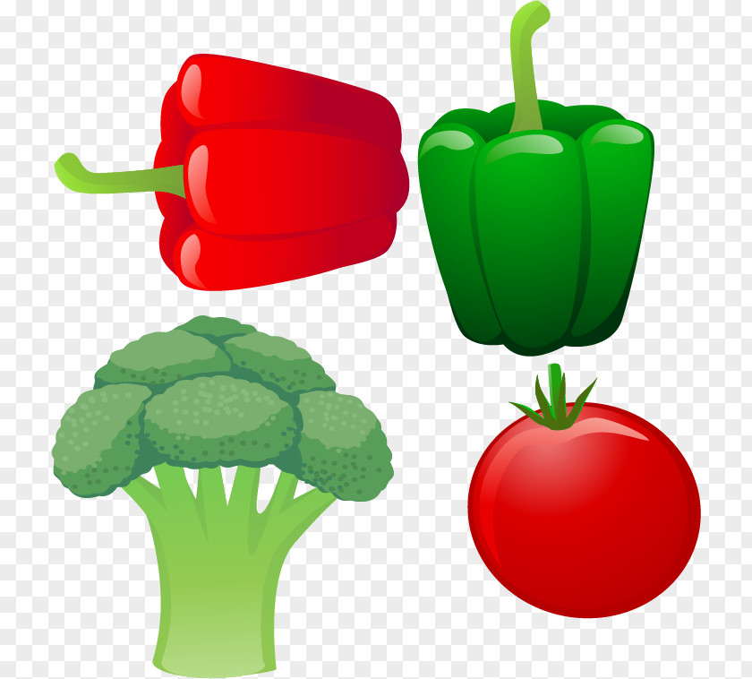 Vegetable Pepper Cauliflower Vector Material U852cu679c Poster PNG
