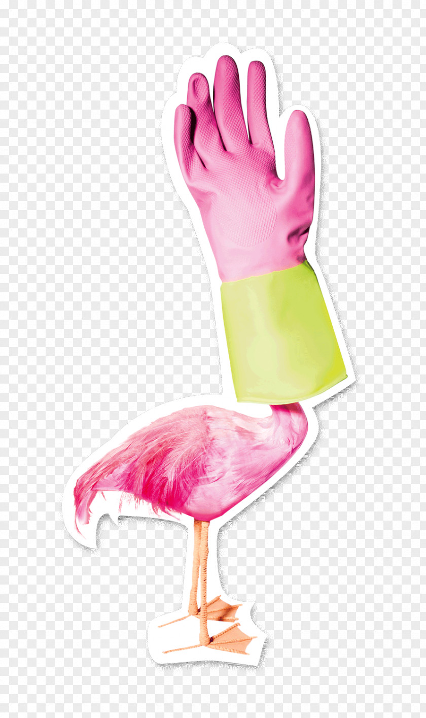Bird Thumb Clip Art PNG