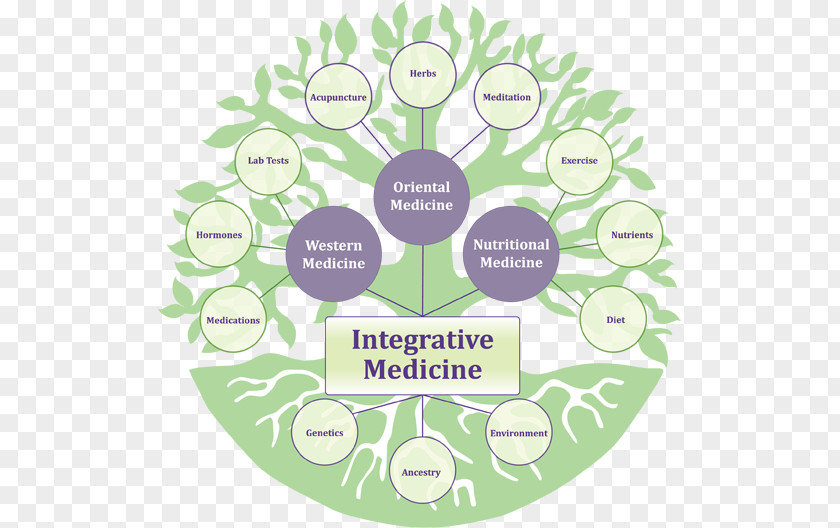 Health Integrative Medicine Alternative Services Therapy PNG