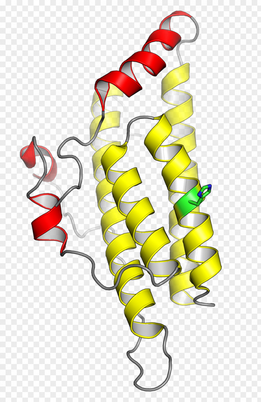 Histidine Phosphotransfer Domain Kinase Protein Amino Acid PNG