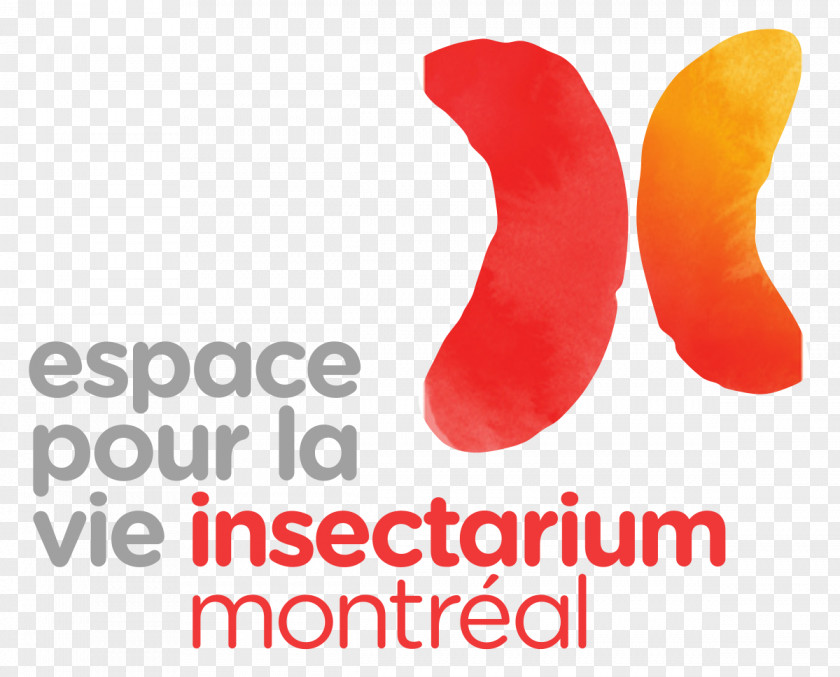 Insectarium Montreal Biodome Space For Life Logo Bee PNG