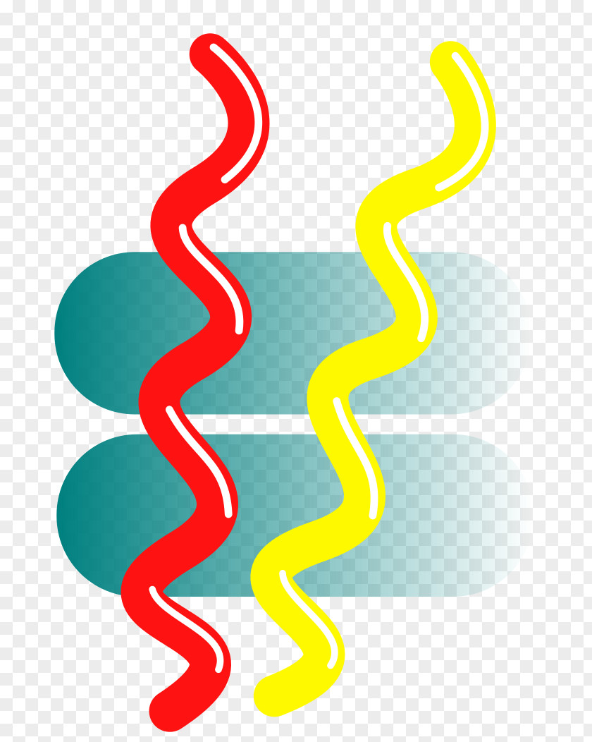 Mustard Clip Art Illustration Organism Line PNG