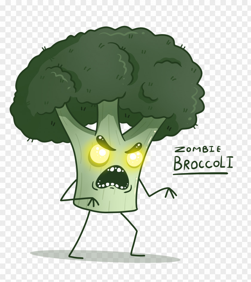 Broccoli Plant PNG
