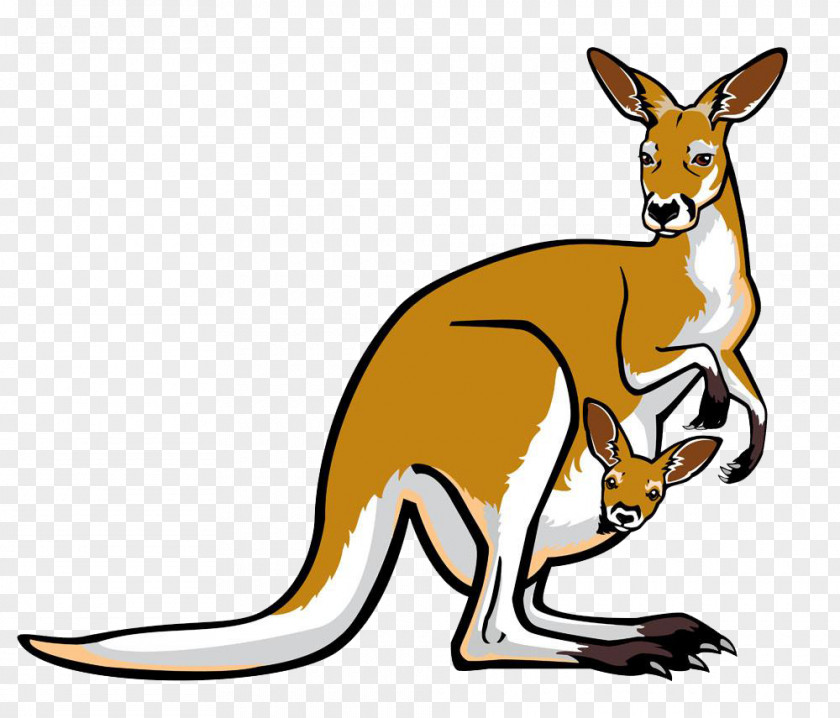 Cartoon Kangaroo Red Pouch Illustration PNG