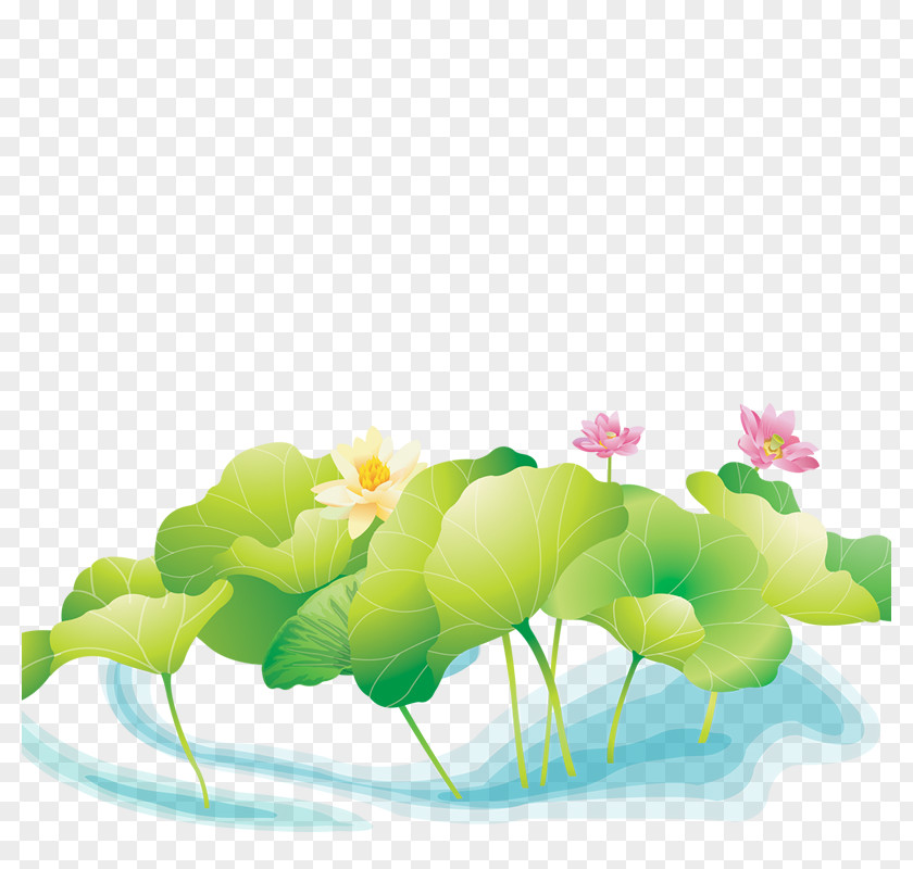 Creative Flower,Lotus Nelumbo Nucifera Pond PNG