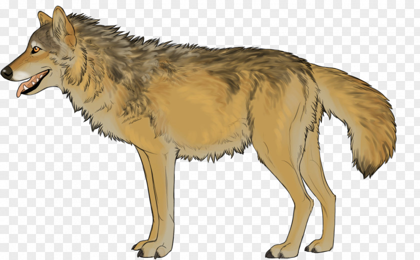 Kunming Wolfdog Coyote Red Wolf Jackal PNG