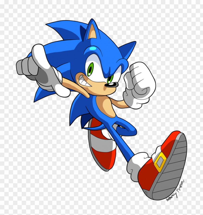 Meng Stay Hedgehog Ariciul Sonic The 3 Rush Forces PNG
