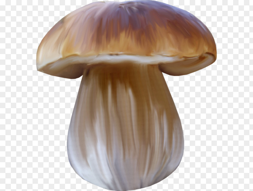 Mushroom Edible Medicinal Fungi Medicine Book PNG