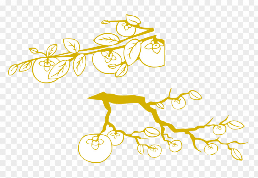 Vector Persimmon Branches Branch Clip Art PNG