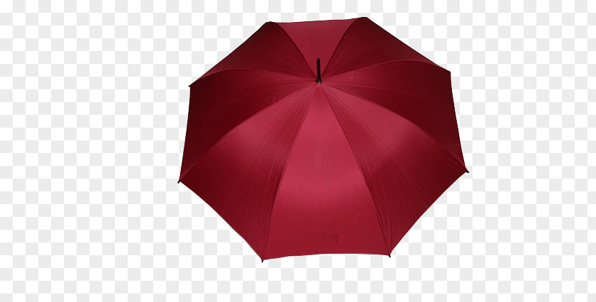 Yi Umbrella Angle PNG