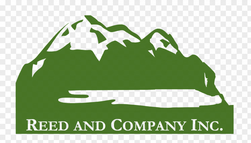 Business Reed & Company Inc Brand Management PNG