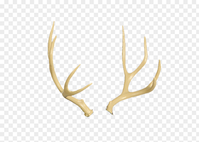 Deer Antlers Reindeer Antler Moose Horn PNG