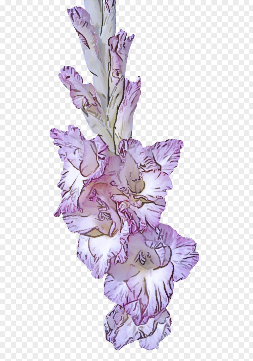 Iris Petal Lavender PNG