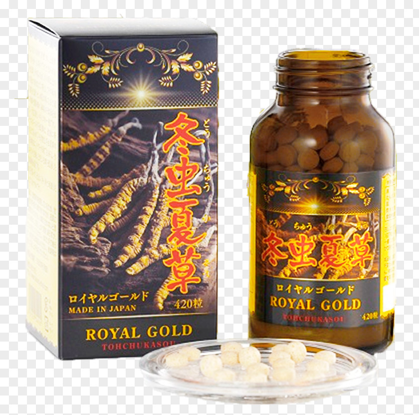 Japan Caterpillar Fungus Cordyceps Dietary Supplement Health PNG