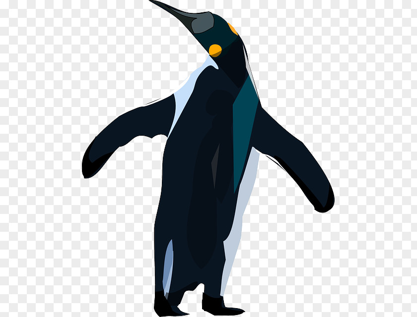 Penguin King Bird Clip Art PNG