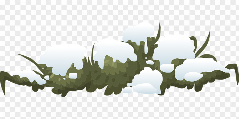 Snow Shrub Clip Art PNG