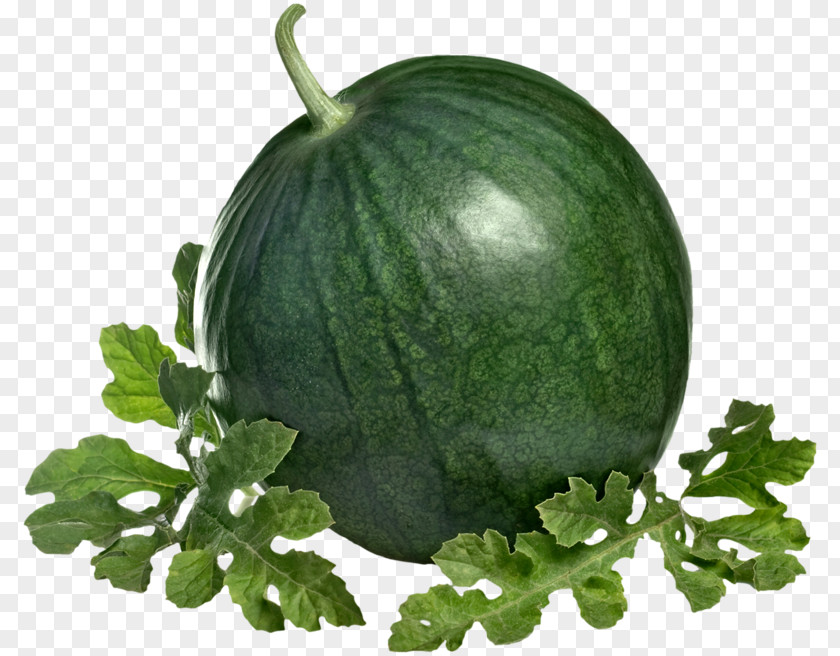 Watermelon Citrullus Lanatus Cassava Clip Art PNG