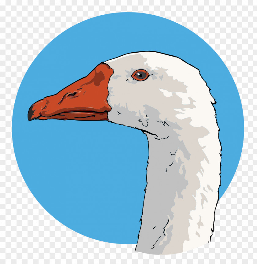 Close Up Goose Bird Clip Art PNG