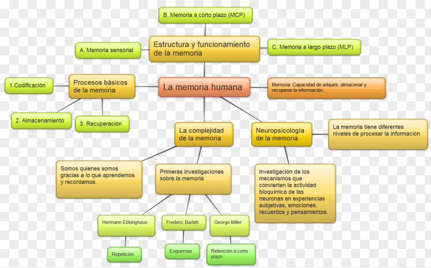 Sabr Memory Cognitive Psychology Knowledge Atribución PNG