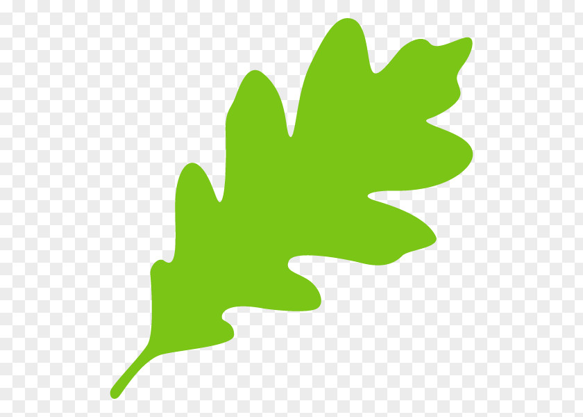 Tree Clip Art Leaf Line Plant Stem PNG