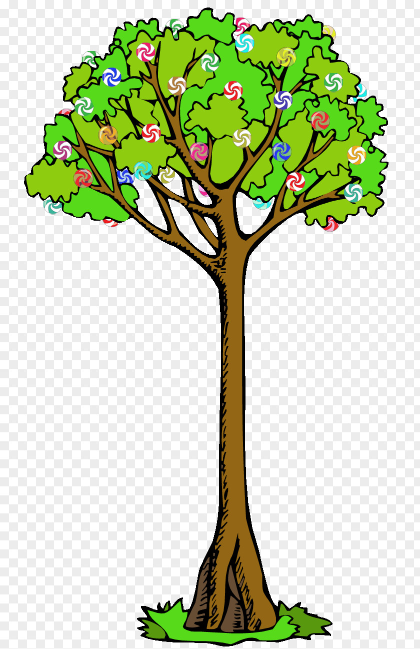 Tutti Frutti Clip Art Branch Tree Tāne Mahuta Image PNG