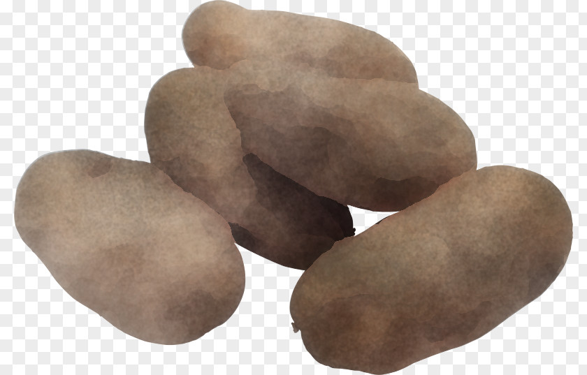 Vegetable Solanum Pebble Rock Potato Food Plant PNG