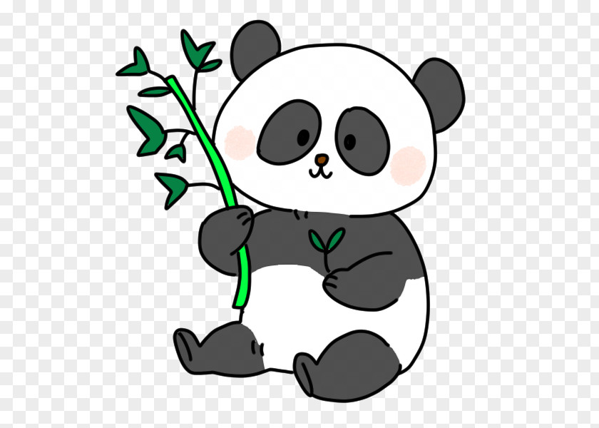 Bear Giant Panda Illustrator Clip Art PNG