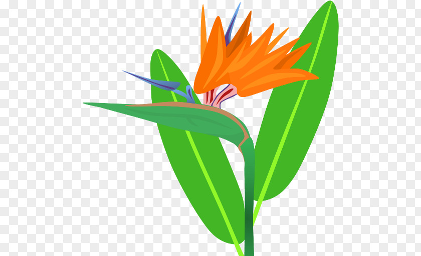 Butterfly Petal Leaf Plant Stem Clip Art PNG