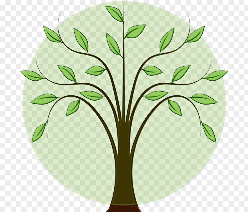 Plant Stem Flower Leaf Green Tree Clip Art PNG